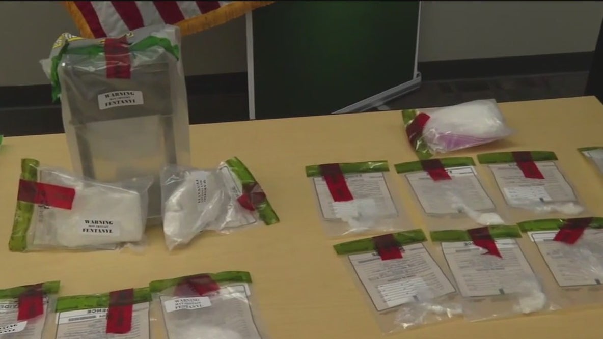 Hernando drug bust: Over 1k grams of drugs seized